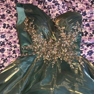 Prom/Homecoming Dress